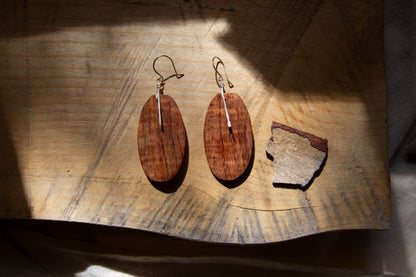 Earring Set V