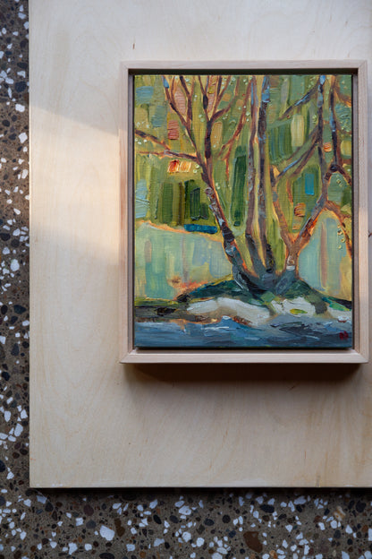 Tree Study No. 1 "LOLOMA x Raina Original Painting