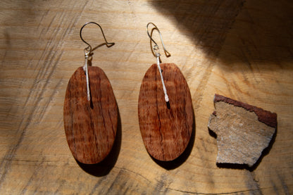 Earring Set V