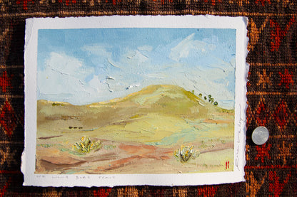 STUDY 11